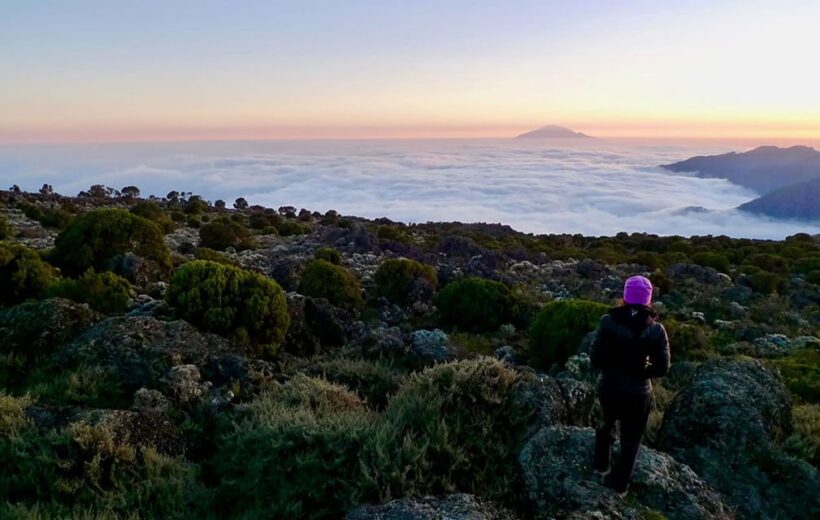 10 DAYS CLIMBING MT KILIMANJARO VIA LEMOSHO ROUTE
